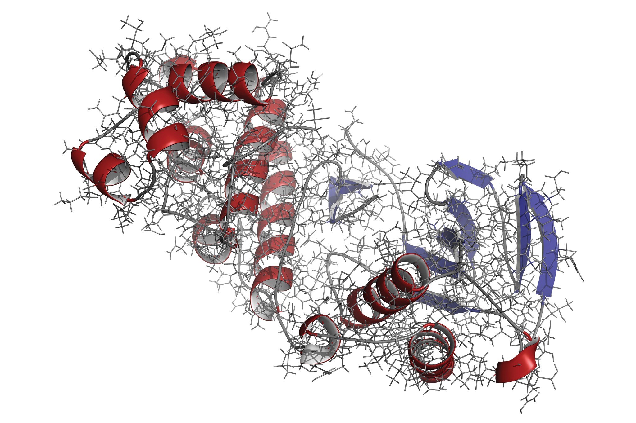 p38 MAP quinasa proteína, estructura química