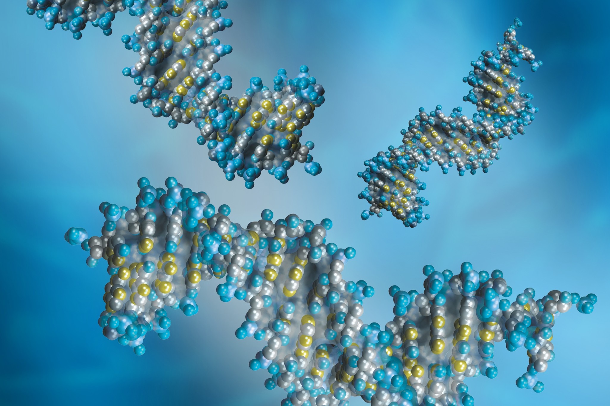 Robustes et pratiques, les workflows analytiques de Waters pour la caractérisation et le suivi des oligonucléotides de synthèse garantissent la compréhension des procédés et la qualité des produits 