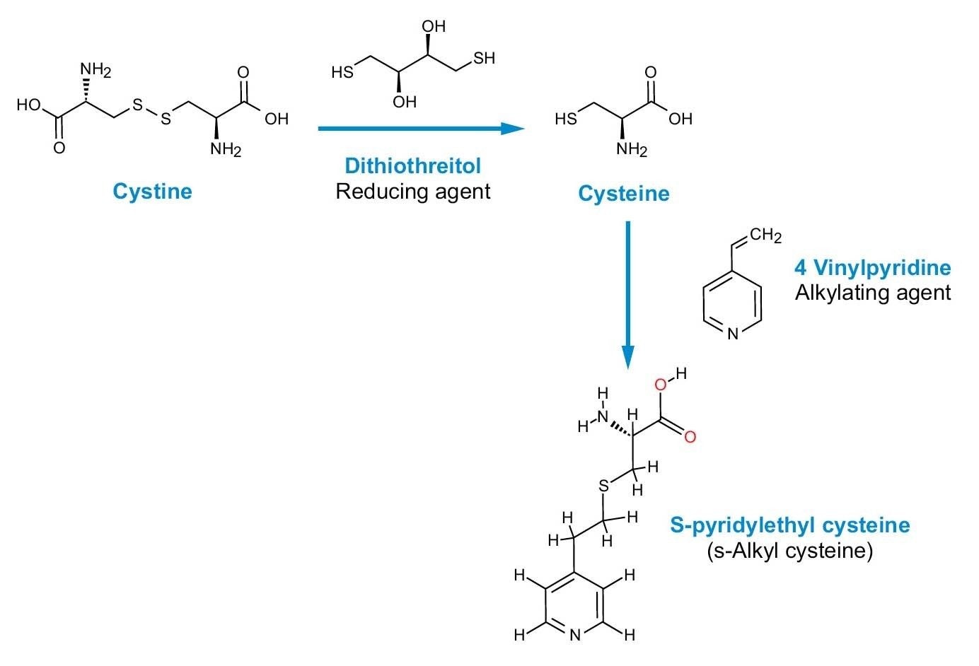 Figure 5. Alkylation de la cystine et de la cystéine.