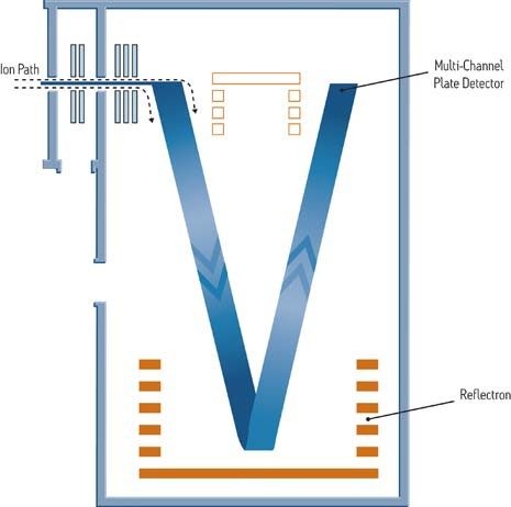 Les ions sont accélérés par une impulsion haute tension dans un tube de dérive ou de vol. Les ions légers atteignent la plaque multicanal (MCP ou détecteur) plus tôt que les ions lourds.