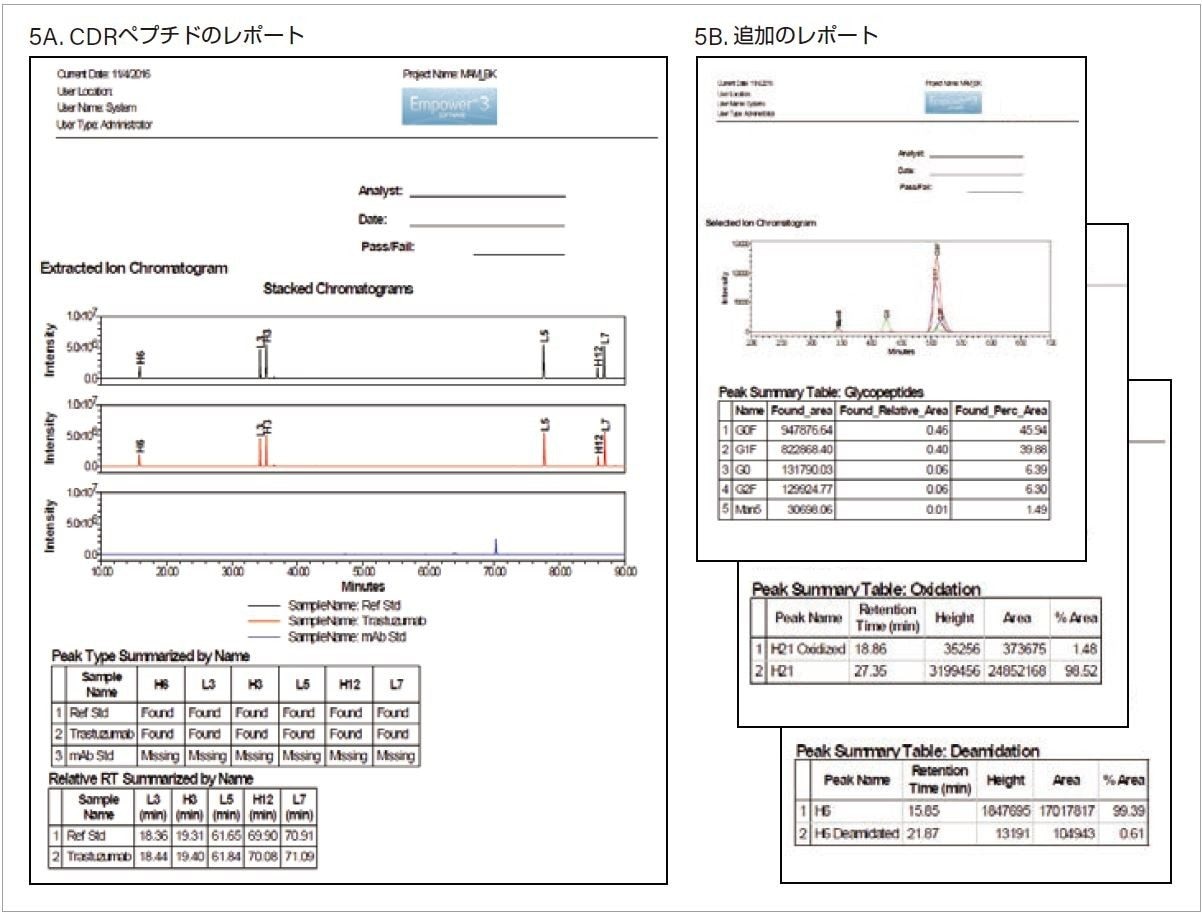 Empower のレポート5A）参照標準、トラスツズマブのサンプル、およびインタクト mAb 標準（ネガティブコントロール）の比較。