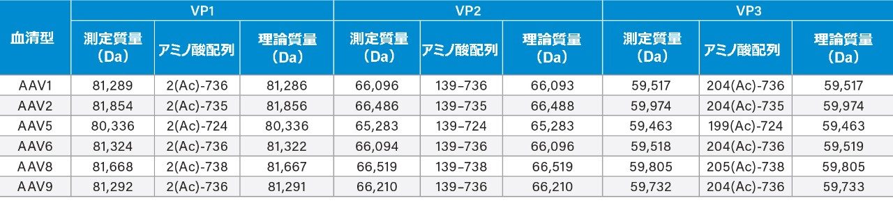 6 つの AAV セロタイプのキャプシドタンパク質の同定結果