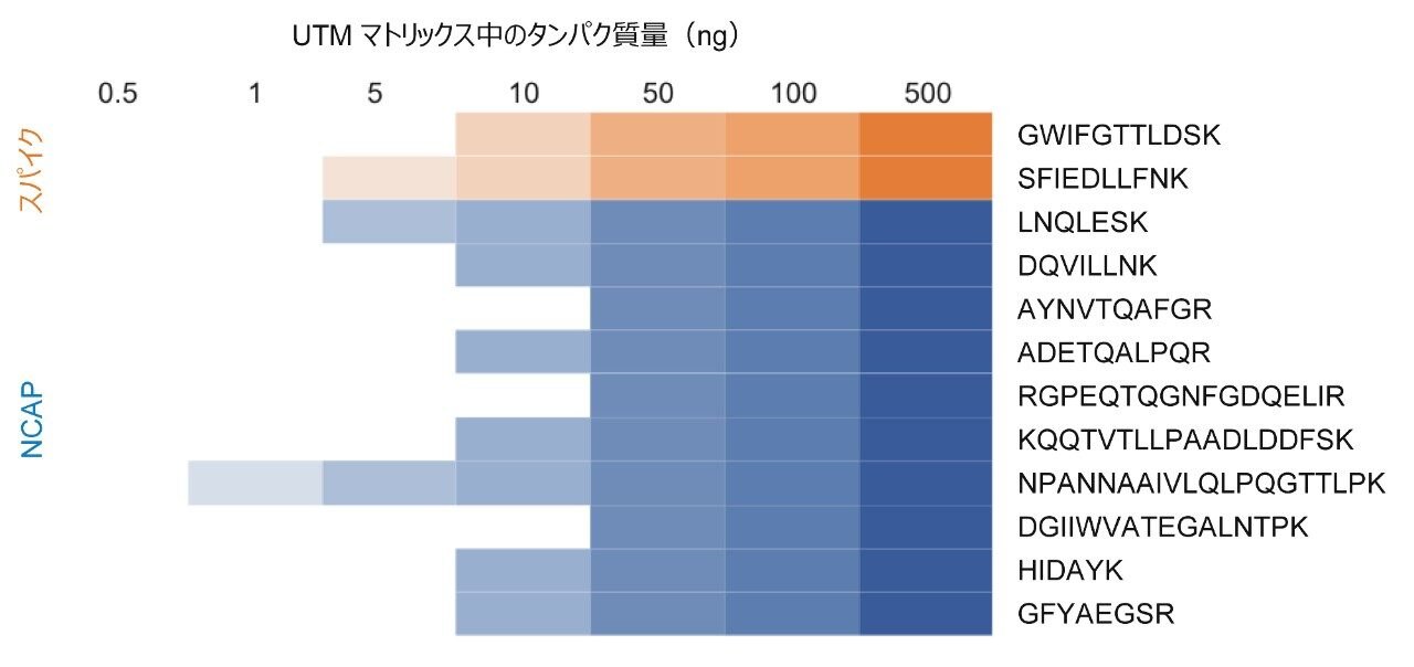 定量結果のまとめ