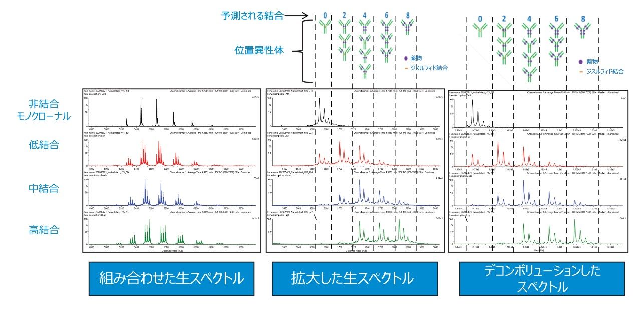 標準物質（非結合 mAb）および低、中、高結合レベルのシステイン結合 ADC サンプルのスペクトル比較