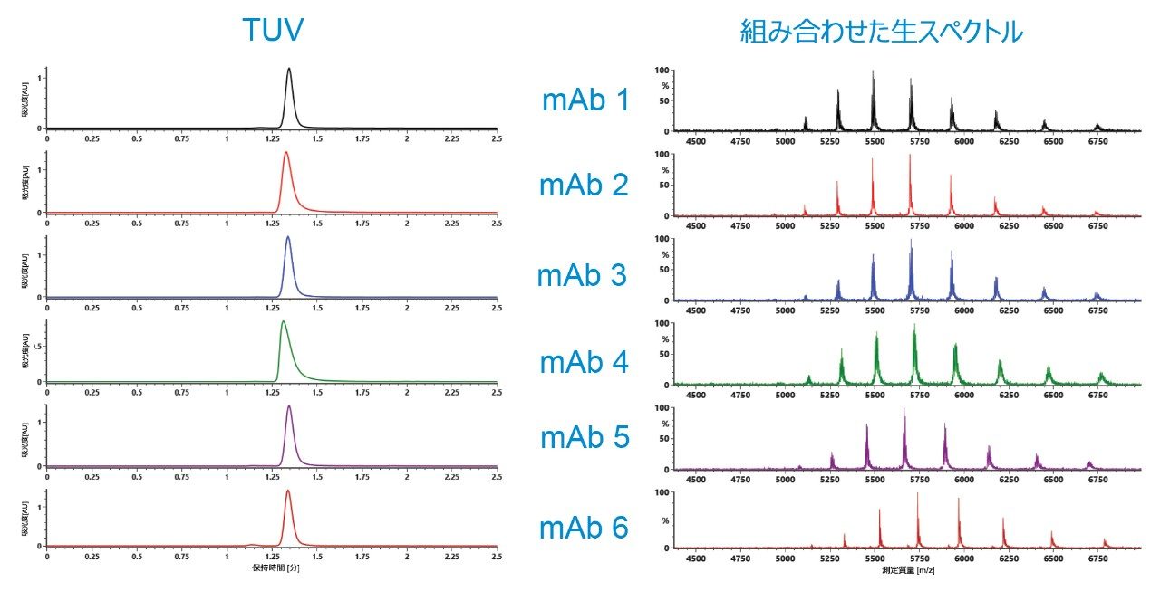 6 種のモノクローナル抗体、TUV、TIC のネイティブ SEC LC-MS HTP スクリーニング