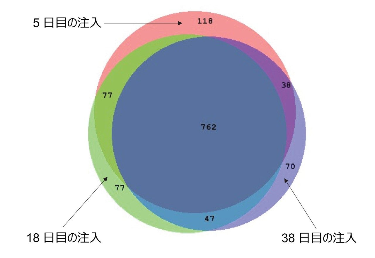  大腸菌タンパク質の同定