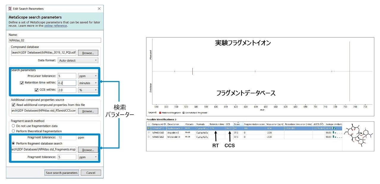 検索パラメーターのセットアップおよび検索の実施