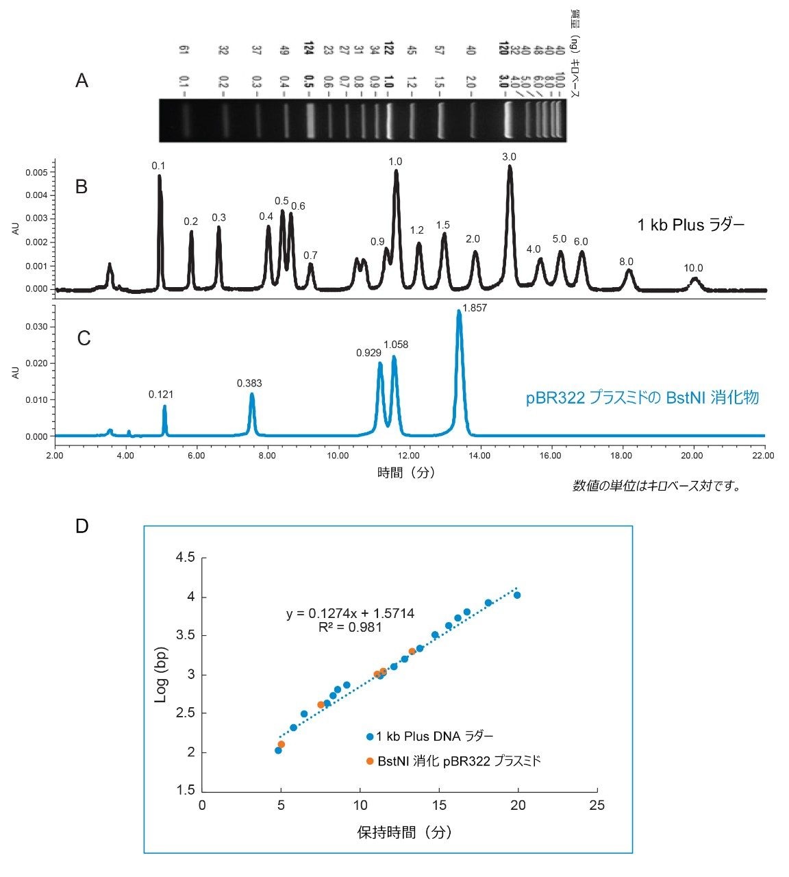 A）アガロースゲル分離、B）1 kb Plus DNA ラダーの陰イオン分離、C）DNA フラグメントの陰イオン交換分離、D）log(bp) 対 dsDNA フラグメントの保持時間のプロット。