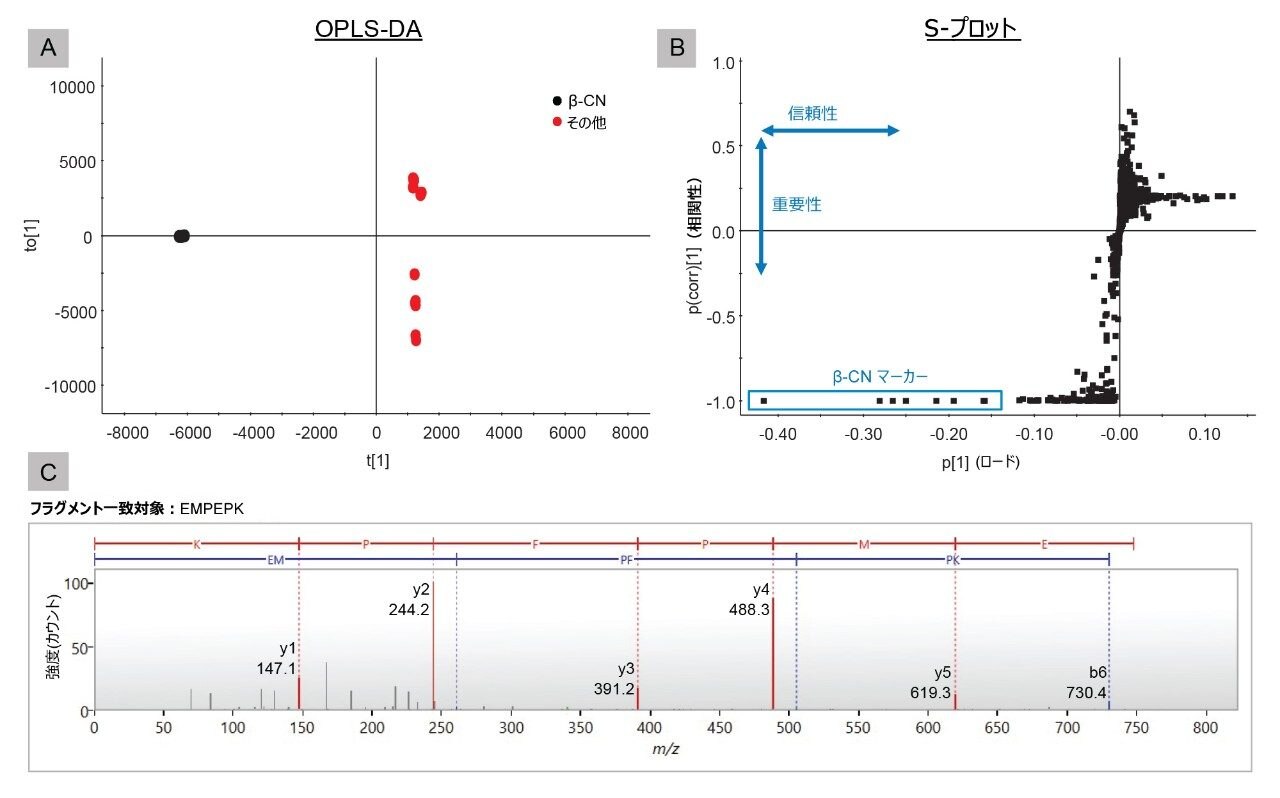 A. OPLS-DA スコアプロット、B. β-CN と他の 4 種のタンパク質を比較する S プロット、C. ペプチド EMPFPK の同定の例