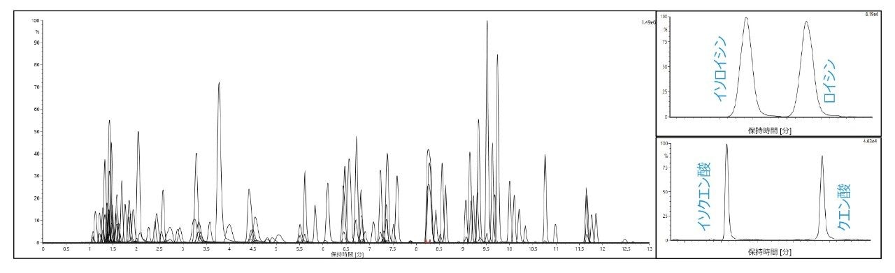 一般的な化合物範囲の同重体ペア（イソロイシン/ロイシン、イソクエン酸/クエン酸）についての抽出イオンクロマトグラム（XIC）の重ね描き