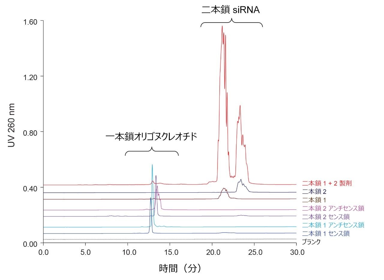 一本鎖および二本鎖 siRNA 成分の IP-RP LC での保持試験