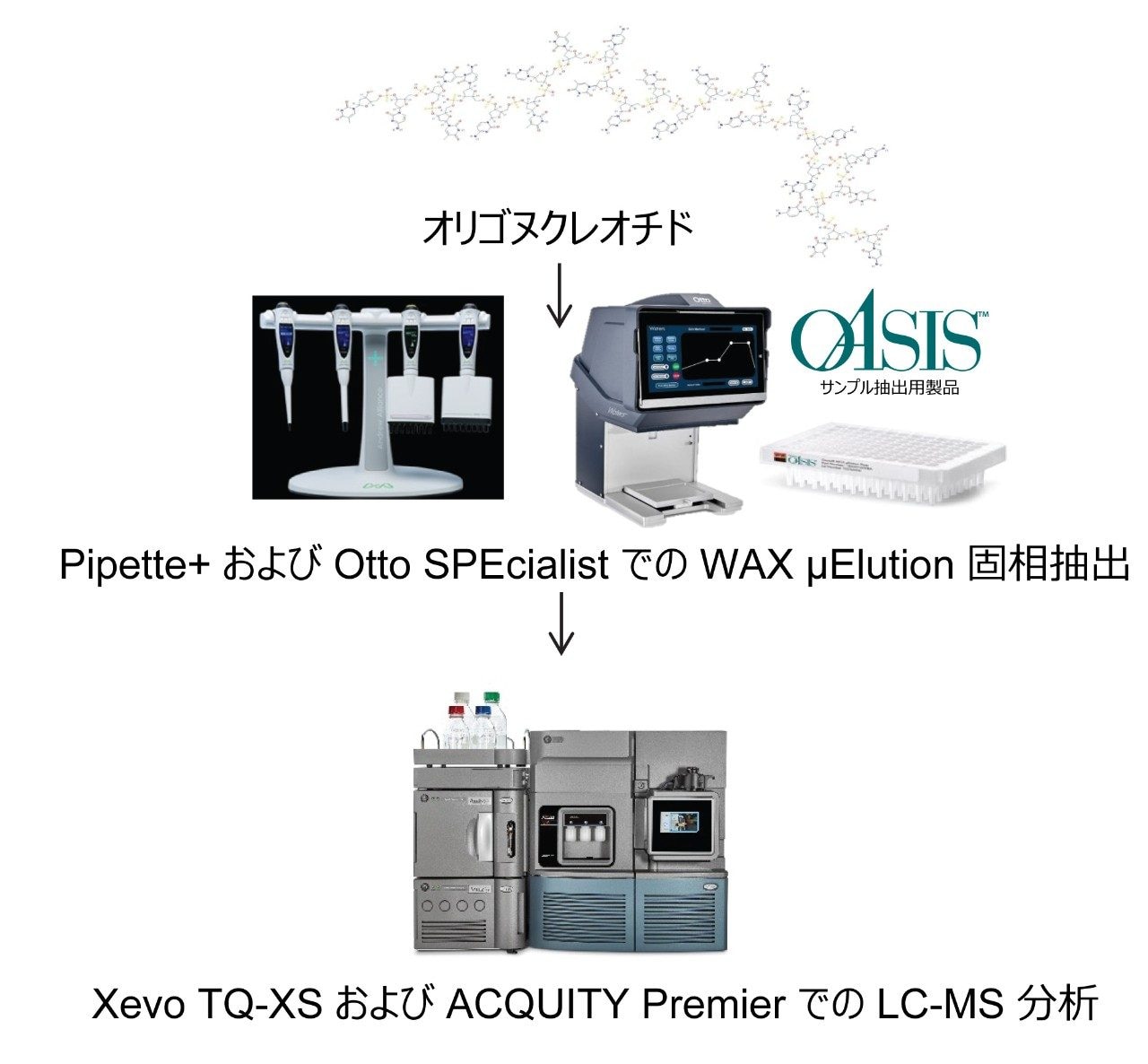 GalNAc-siRNA 結合オリゴヌクレオチドのバイオアナリシスのためのサンプル前処理および LC-MS 分析ワークフロー