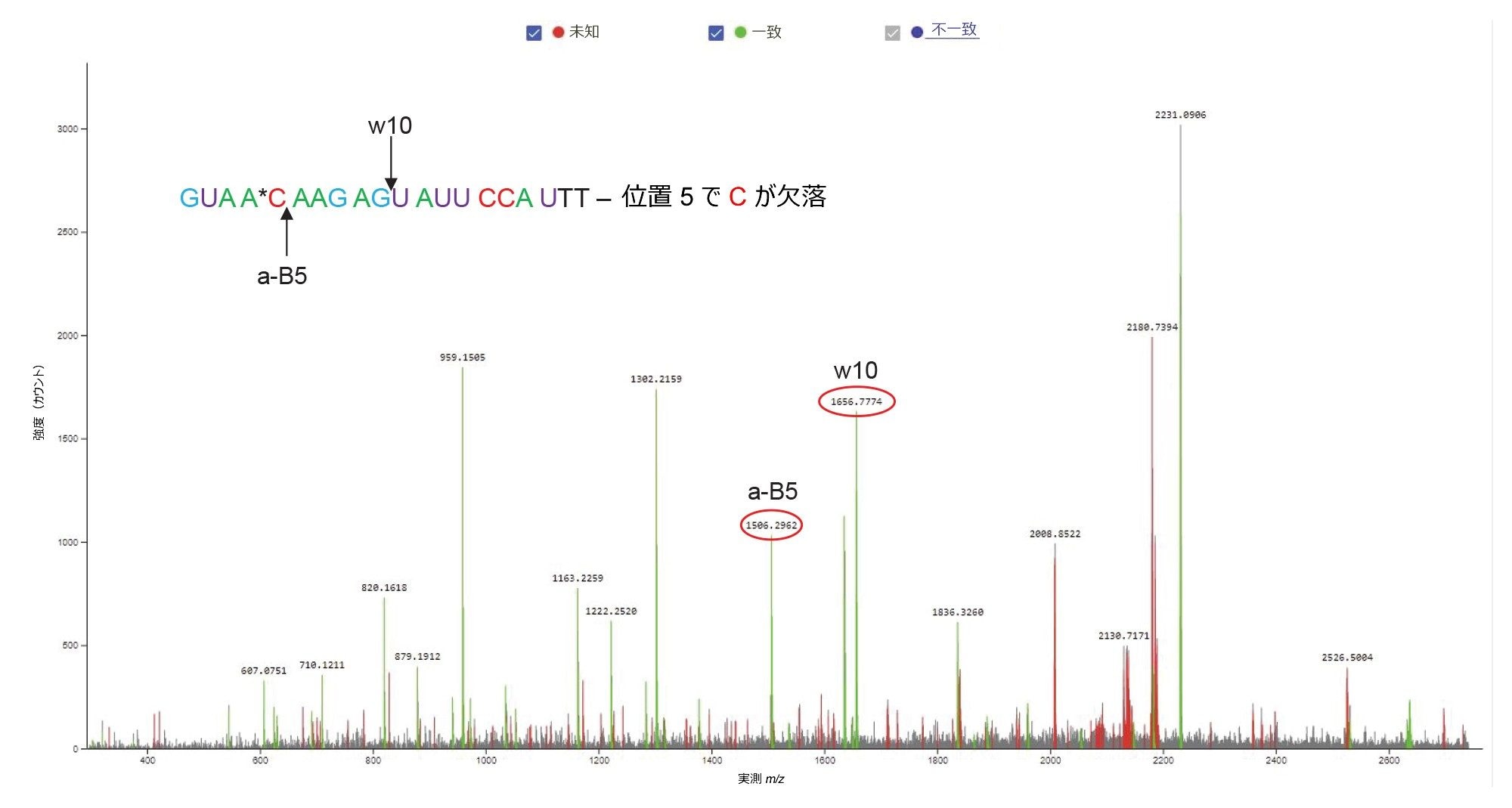 ピーク 10 としてラベル付けされ、FLP の直前に溶出する、21-mer オリゴヌクレオチドの不純物の存在量が最も多い異性体について記録された、MS/MS スペクトル。このオリゴ（m/z = 2231.0）の [M-3H]-3 プリカーサーを、Xevo G2-XS QTof 装置のコリジョンセルで最適固定コリジョンエネルギー（59 V に設定）を使用して、フラグメンテーションしました。m/z = 1506.29 で検出された B5 フラグメントイオンにより、このオリゴの 5’末端付近に 2’-OMe 5-Me シチジンが 1 つ存在することが確認されています。その一方で、m/z = 1656.77 に存在する w10 フラグメントイオンにより、他の 2 つの 2’-OMe 5-Me シチジンが分子の他方の末端に存在することが示されています。