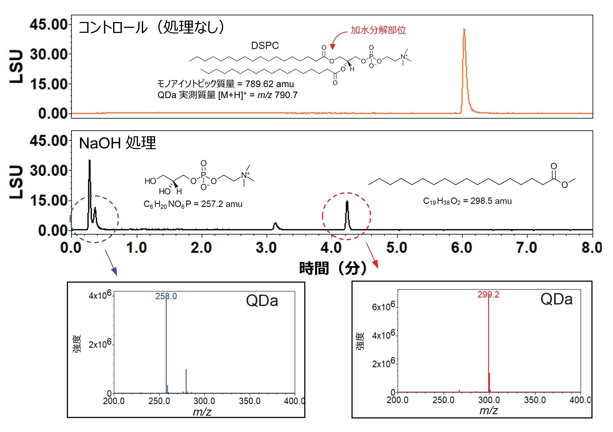 製剤化試験および安定性試験