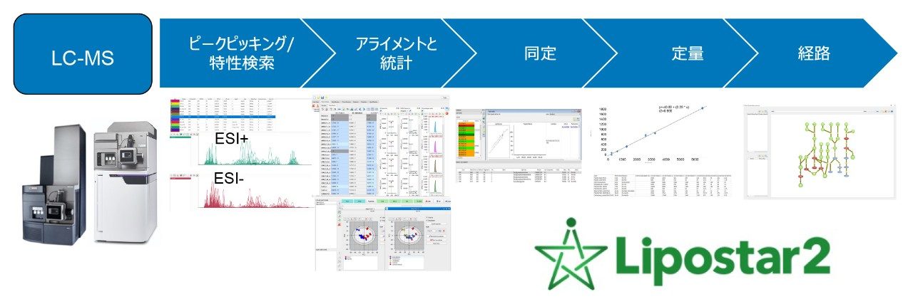 Lipostar ワークフローの概要