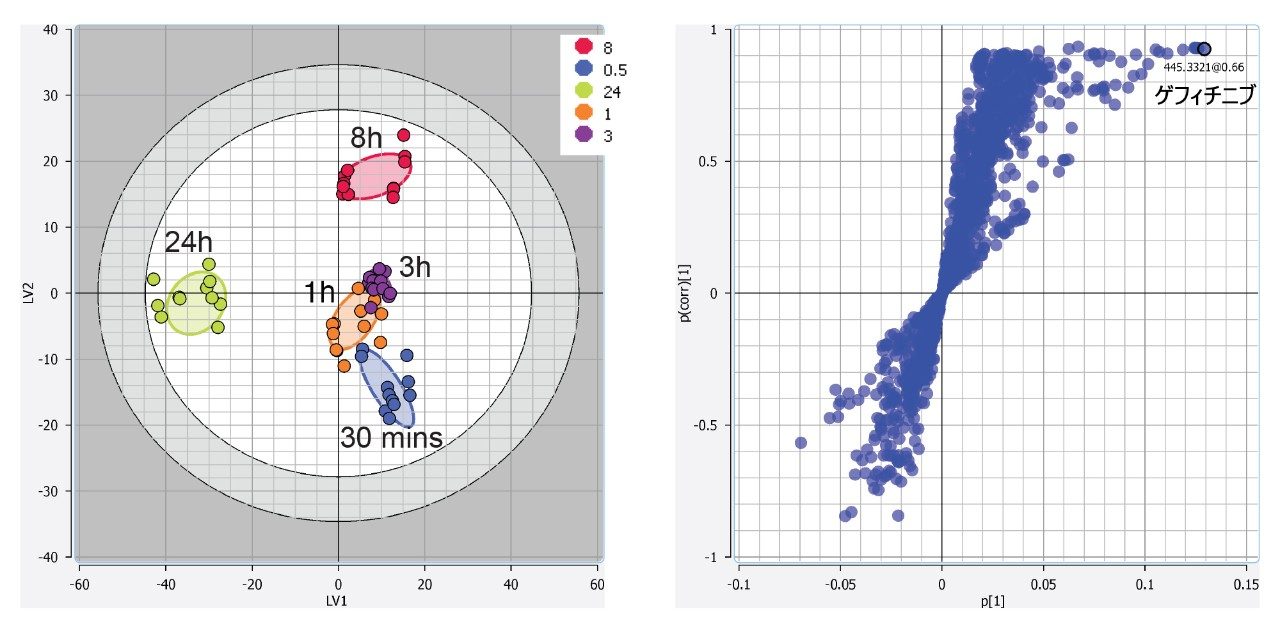 Lipostar 内で使用可能な統計ツールの例。ゲフィチニブ投与後のさまざまな時点での肝抽出物サンプルを用いた、ネガティブモードの PLS-DA（LV1 対 LV2）スコアプロット（左）および S プロット（右）を示します
