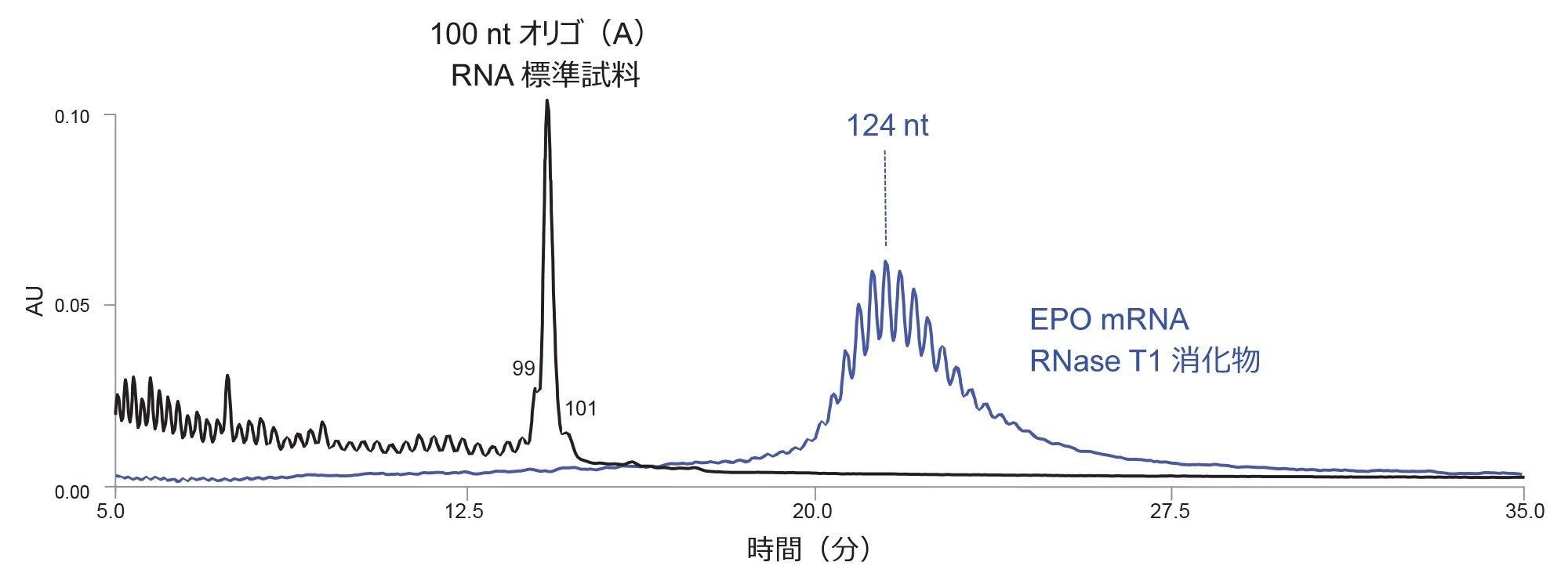 100 nt のオリゴ（A）合成 RNA オリゴヌクレオチド標準試料の分離