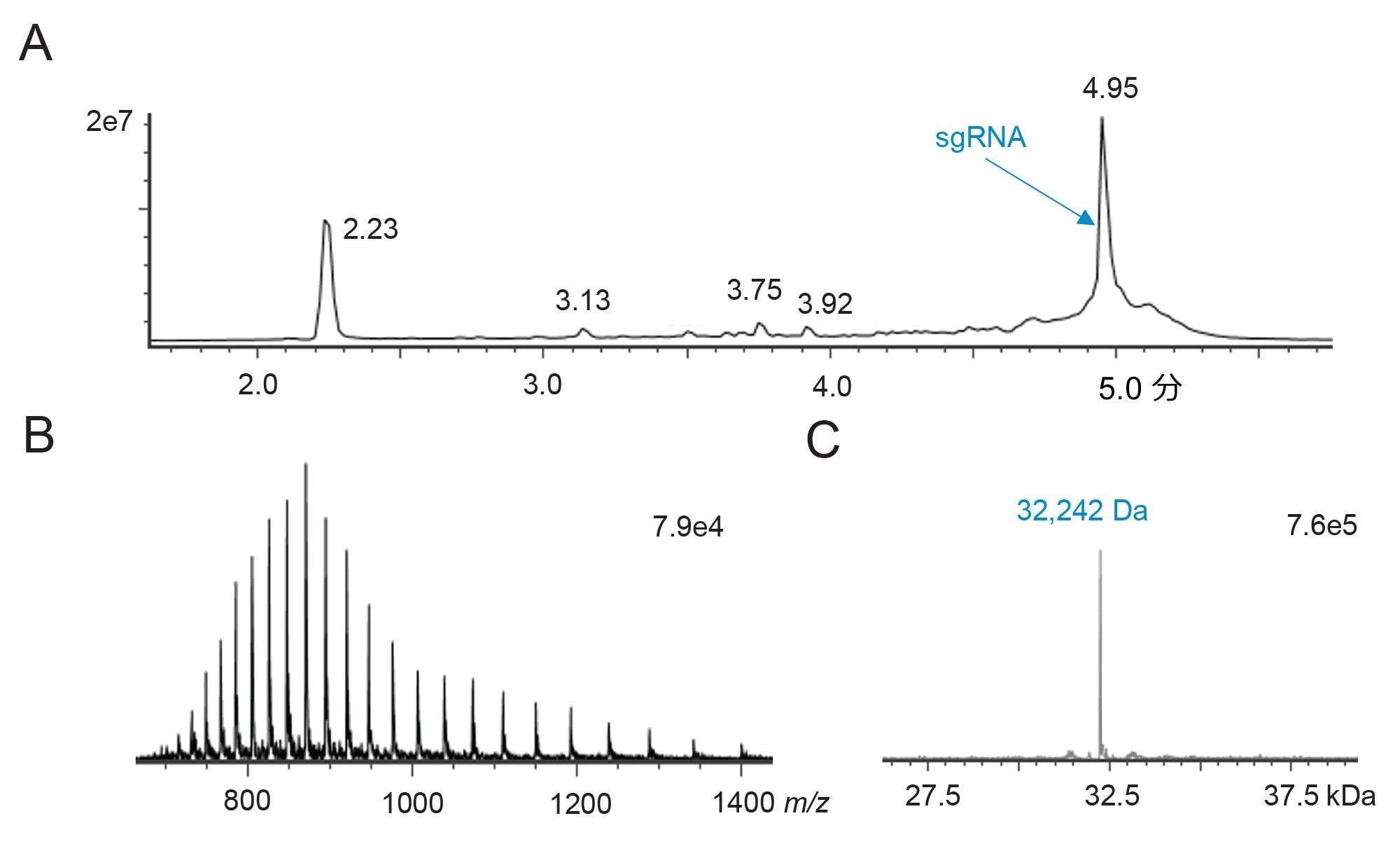 10 pmol 量のインタクト sgRNA の IP-RP-LC-MS 分析（A）ACQUITY PREMIER Oligonucleotide BEH C18 300Å 1.7 µm 2.1 x 100 mm カラムおよび BioAccord システムで取り込まれたトータルイオンクロマトグラム