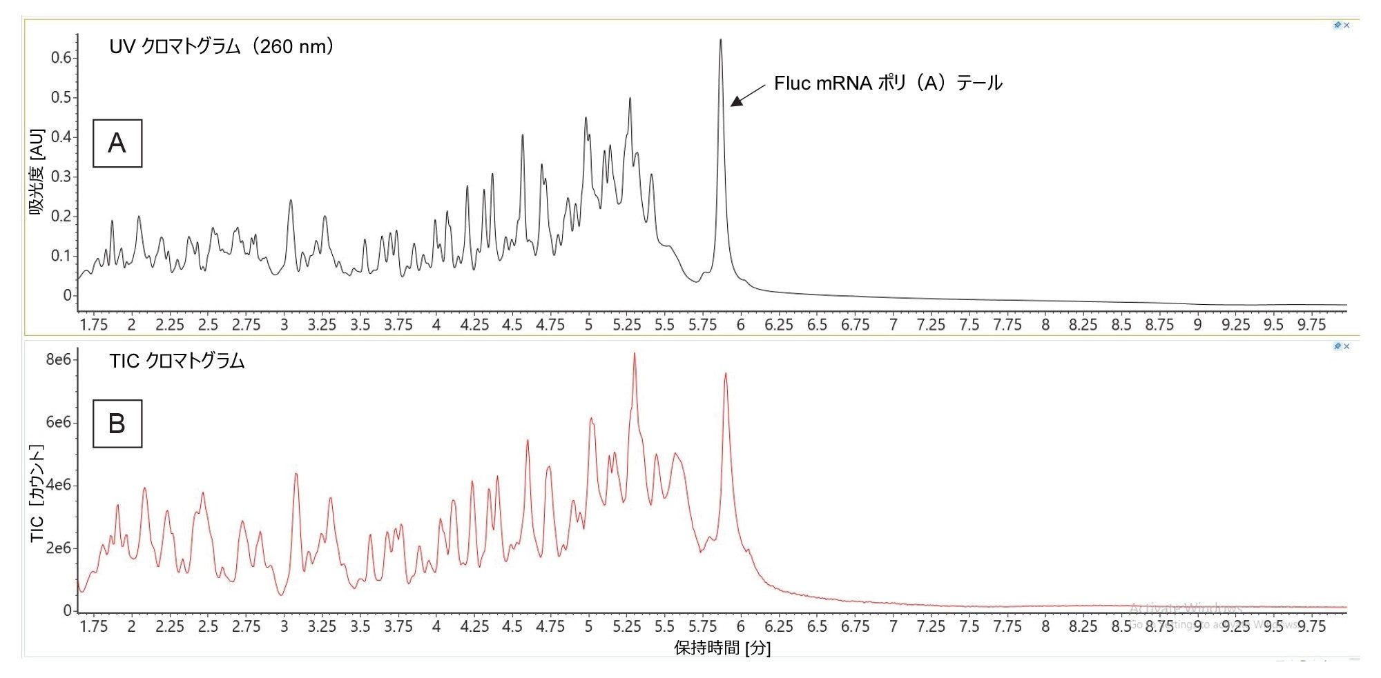 RNase T1 で消化した Fluc mRNA の分離：（A）260 nm で記録された UV クロマトグラム