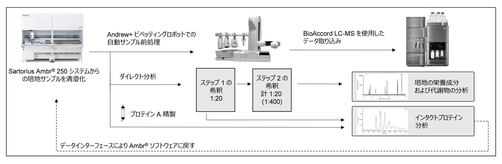 自動サンプル前処理および BioAccord LC-MS 分析の概略図