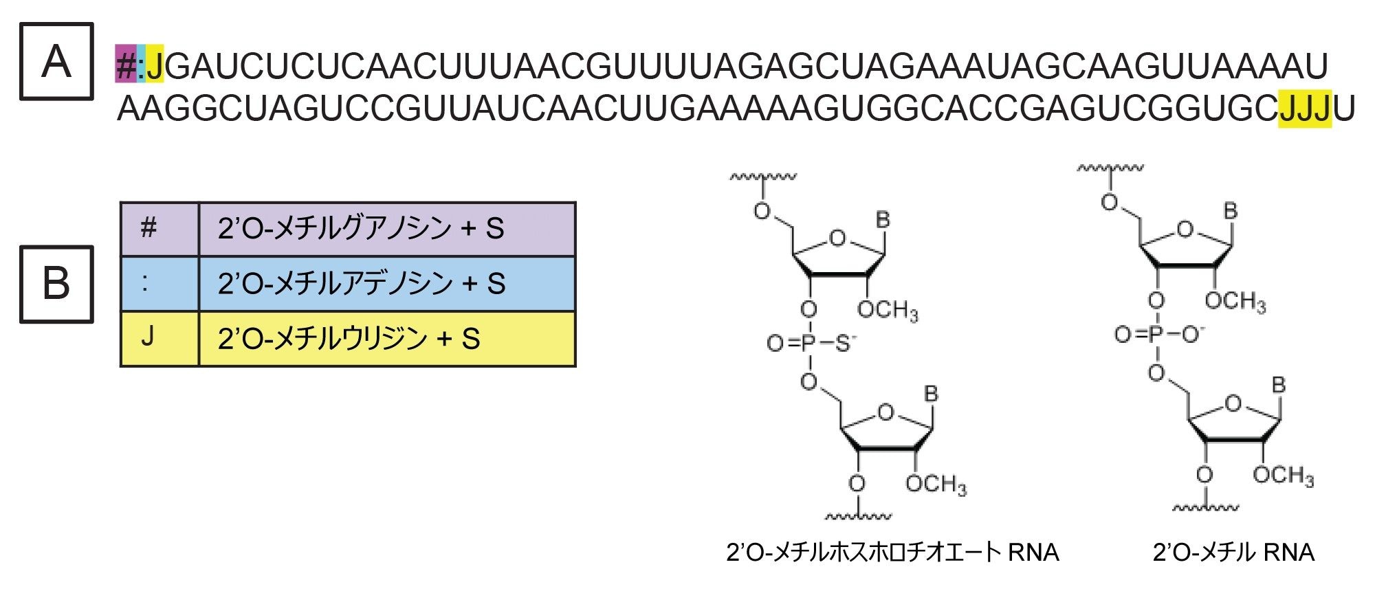 分析した sgRNA の配列