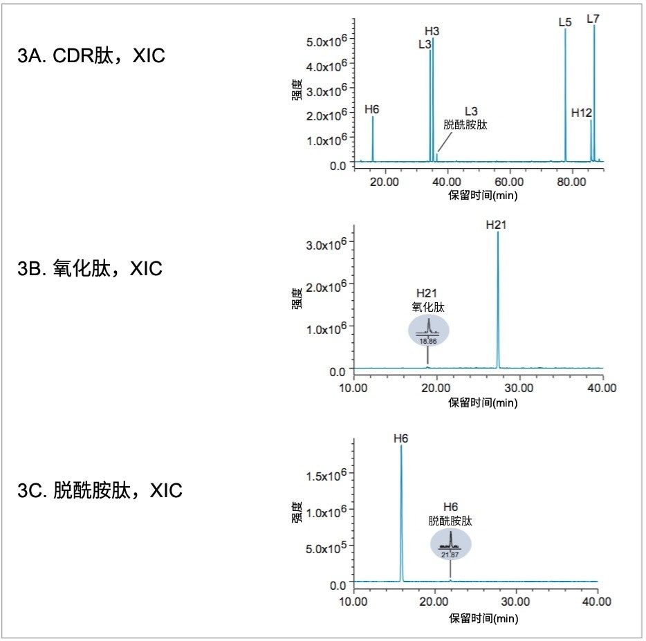 用于鉴定目标属性的XIC。峰标签“H”和“L”分别指重链和轻链肽。