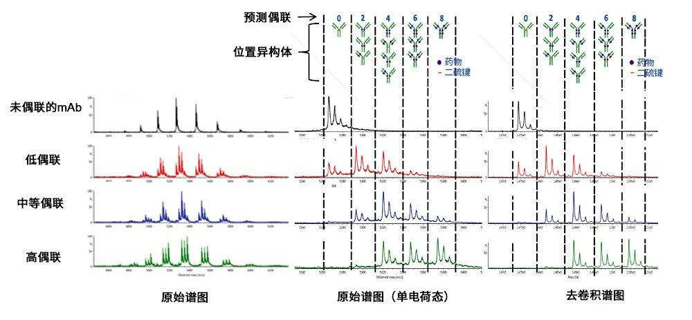  多电荷峰簇的组合原始谱图