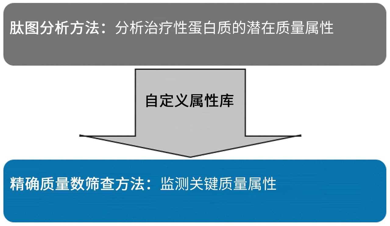 从肽属性鉴定到常规监测的工作流程方法示意图。