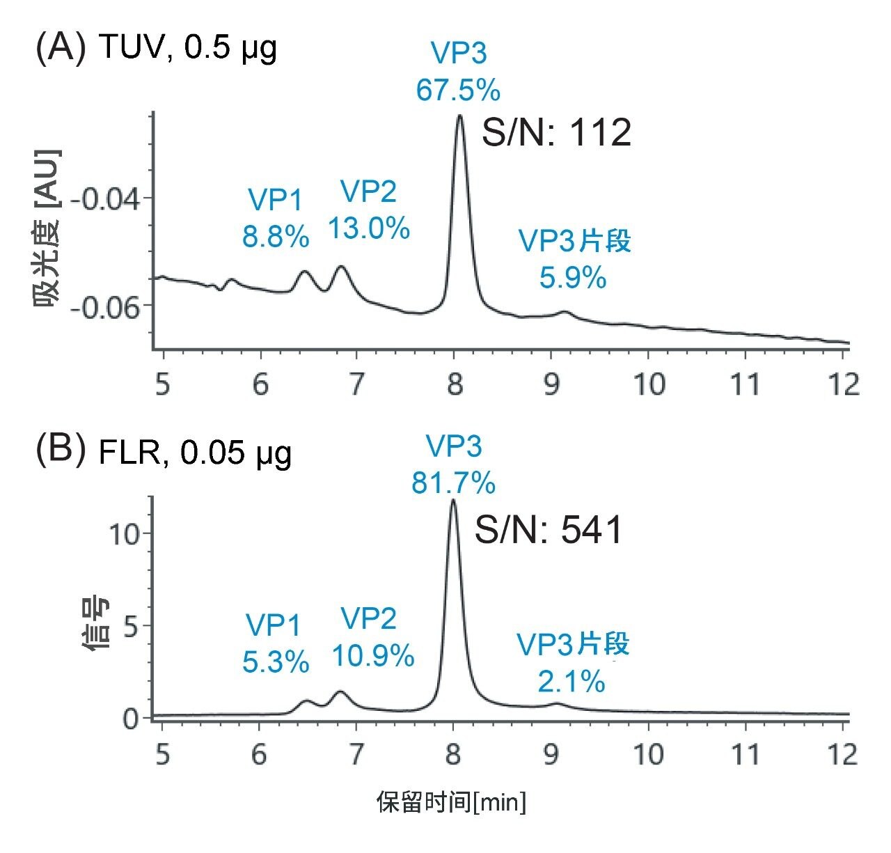 VP蛋白的相对定量