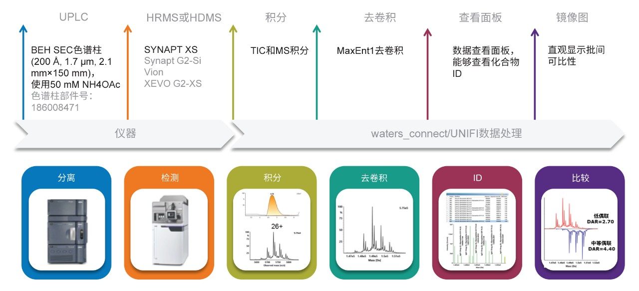 分析级非变性SEC LC-MS分析工作流程