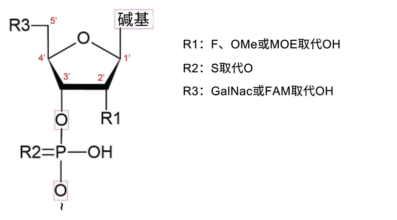 寡核苷酸化学结构。