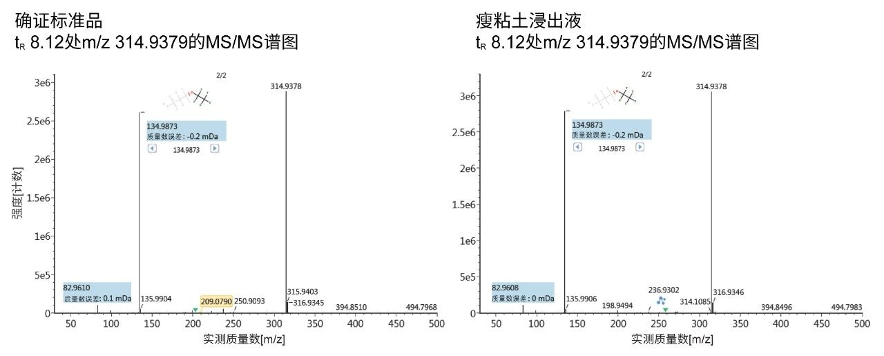 确认性靶向MS/MS实验