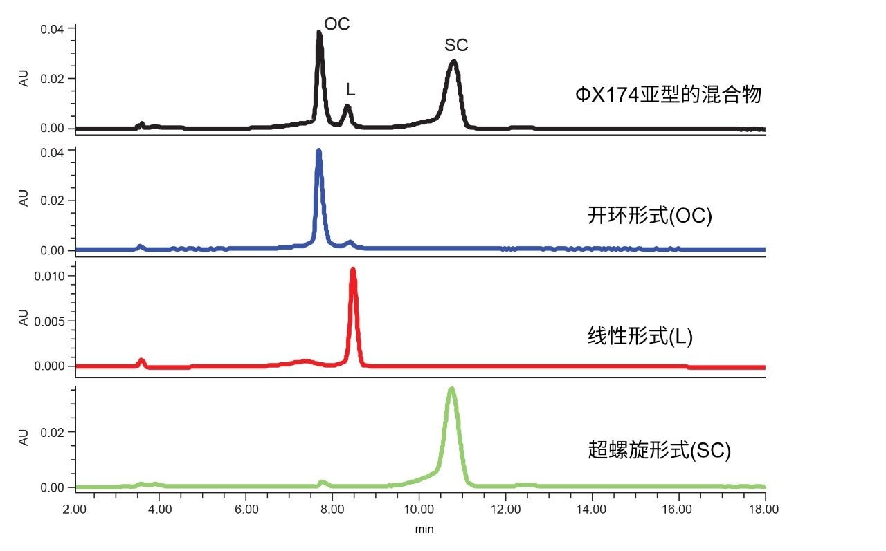 ΦX174质粒亚型在Waters Protein-Pak Hi Res Q色谱柱上的分离。