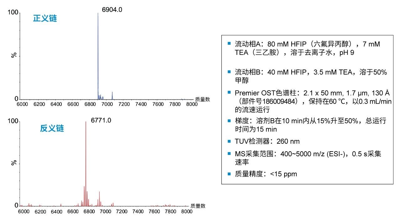 正义链和反义链的完整质量数。