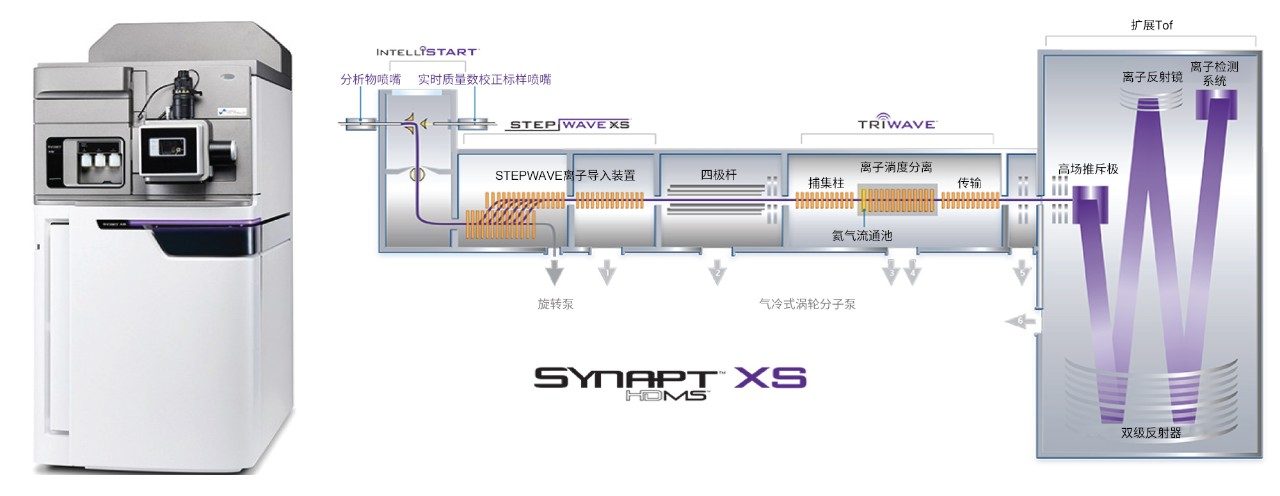 SYNAPT XS系统和SYNAPT XS系统示意图