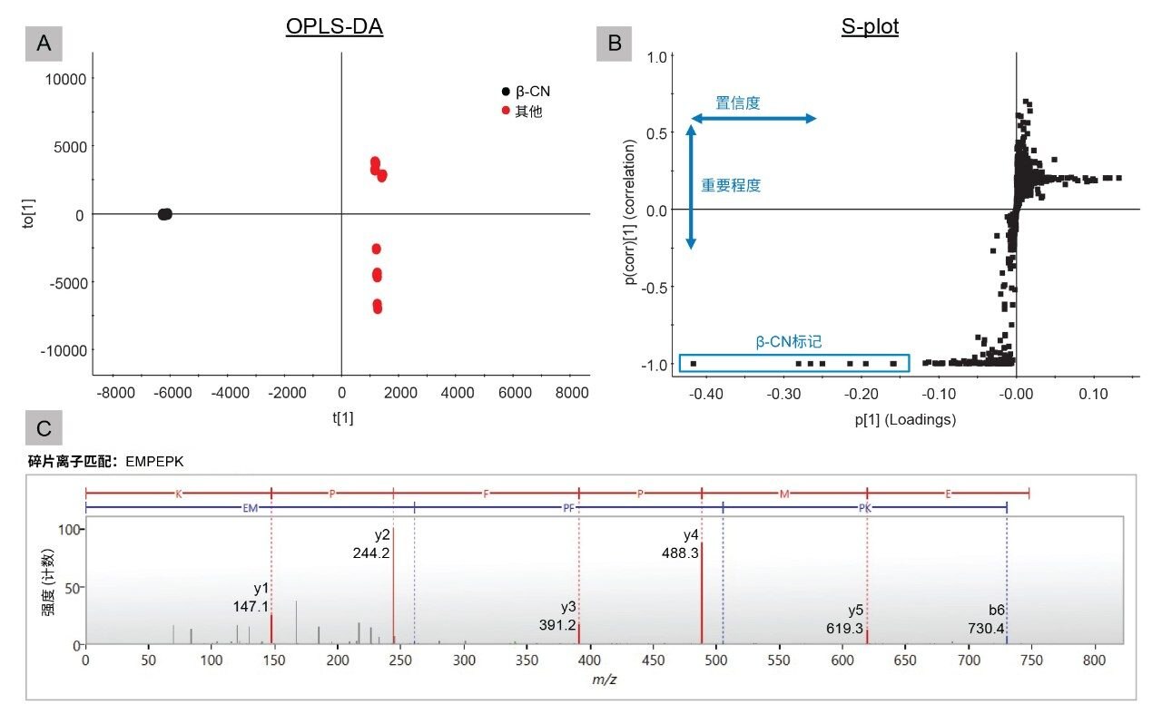 A. OPLS-DA得分图；B. β-CN与其他四种蛋白的S-plot；C.肽段EMPFPK的鉴定示例