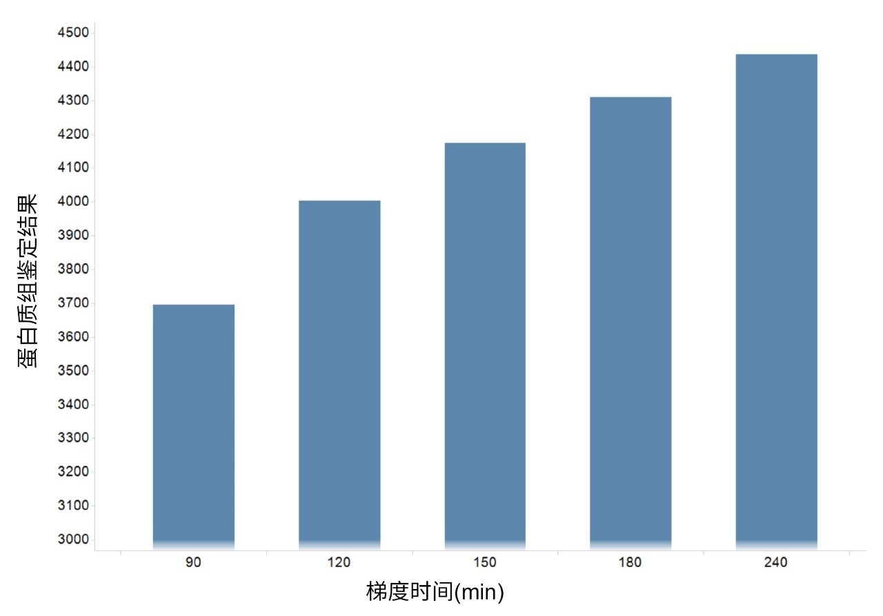 采用90~240 min不同梯度时间的蛋白质鉴定结果(FDR 1%)