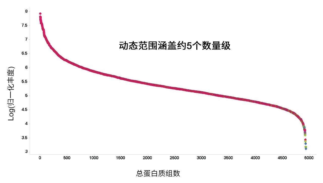  3次重复进样的所有已鉴定K562蛋白质强度动态范围