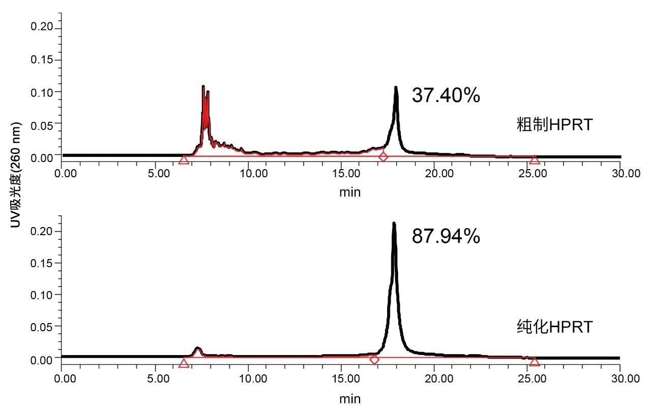 在Waters Protein-Pak Hi Res Q色谱柱上分离用于CRISPR/Cas 9系统的粗制和纯化HPRT sgRNA