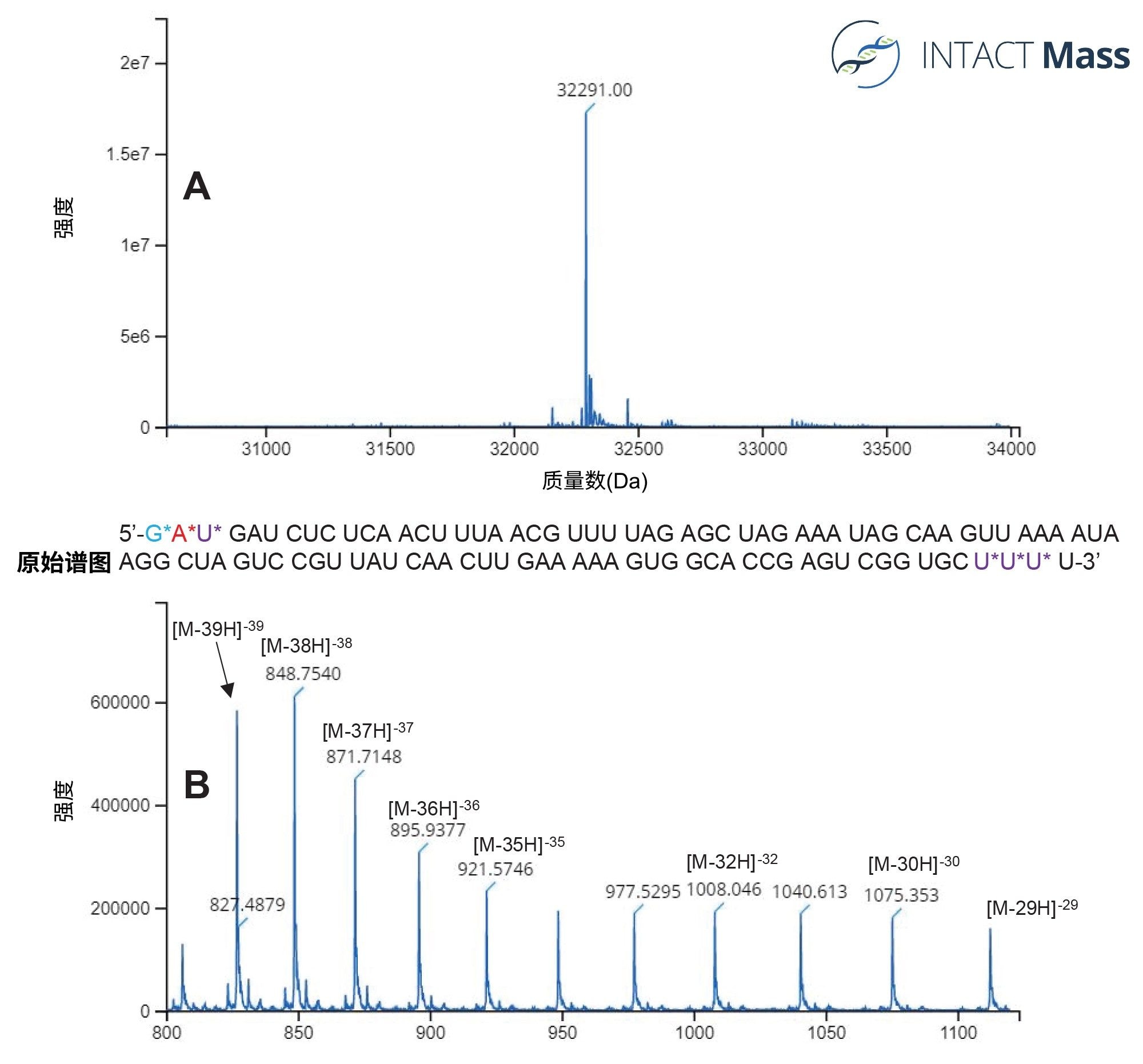  丰度最高的100 mer sgRNA寡核苷酸的INTACT Mass谱图