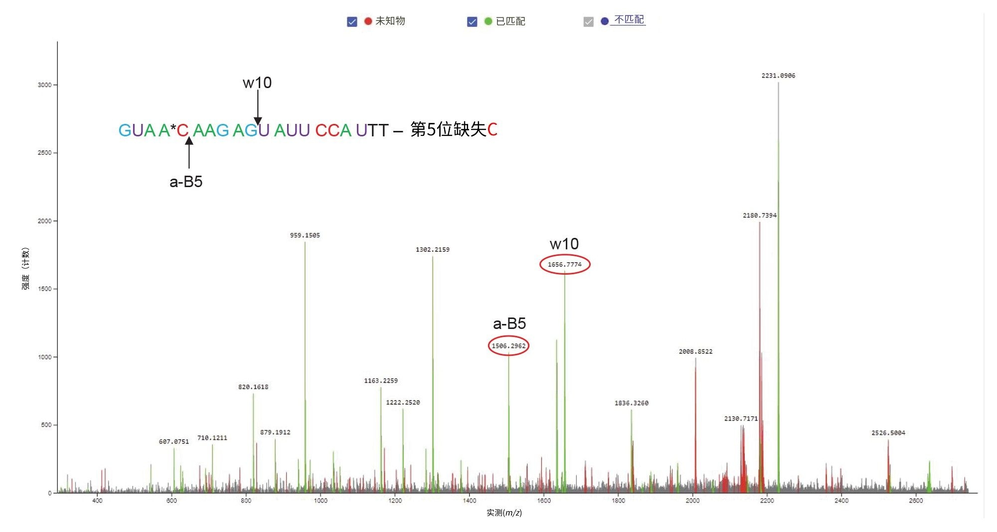 MS/MS谱图记录了标记为峰10并在FLP之前洗脱的21-mer寡核苷酸杂质的最高丰度异构体。在Xevo G2-XS QTof仪器的碰撞室内使用最佳固定碰撞能量（设置为59 V）对该寡核苷酸(m/z = 2231.0)的[M-3H]-3 母离子进行碎裂。在m/z=1506.29处检测到的a-B5碎片离子证实，在该寡核苷酸的5&#39;端附近存在一个2&#39;-OMe-5-Me胞苷，而在m/z=1656.77处存在的w10碎片离子表示另外两个2&#39;-OMe-5-Me胞苷位于分子的另一端