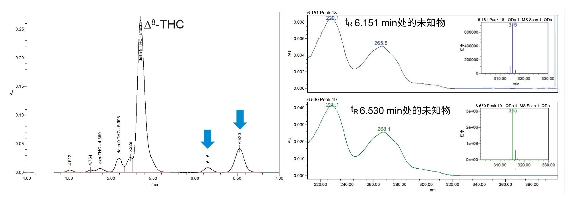 6.151分钟和6.530分钟处未知组分的UV谱图（右）和质谱图（右插图）对比