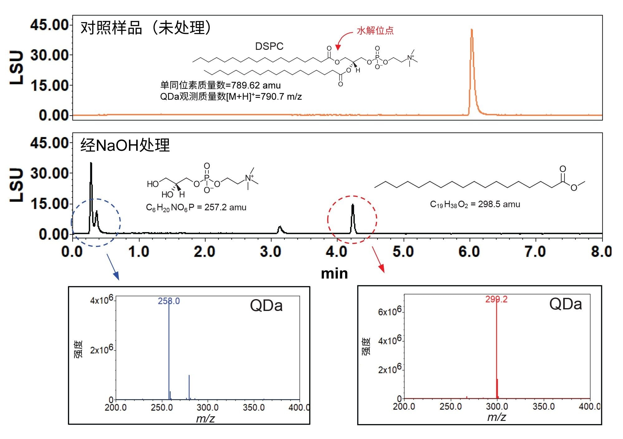 配方和稳定性研究