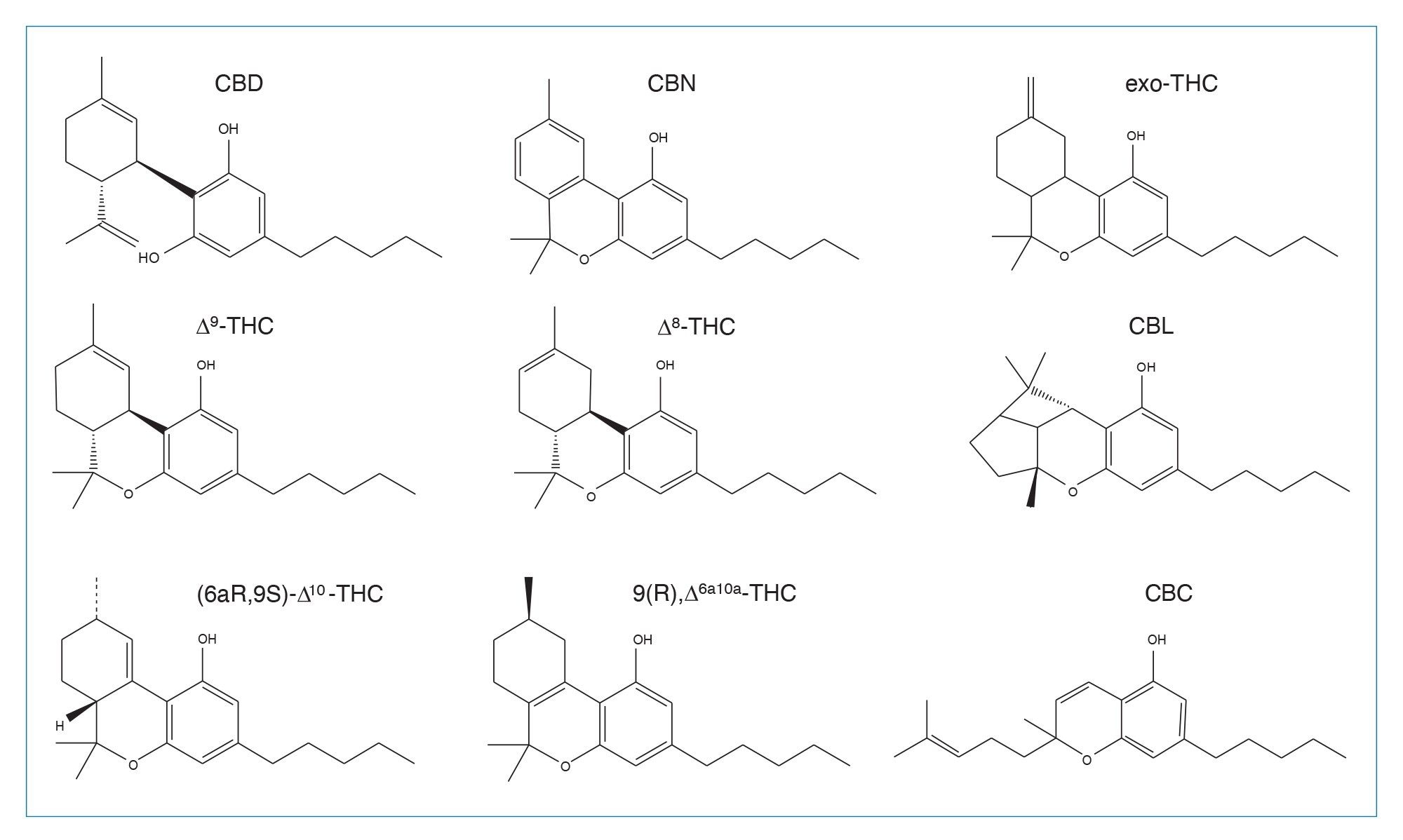 研究期间使用或鉴定的大麻素结构