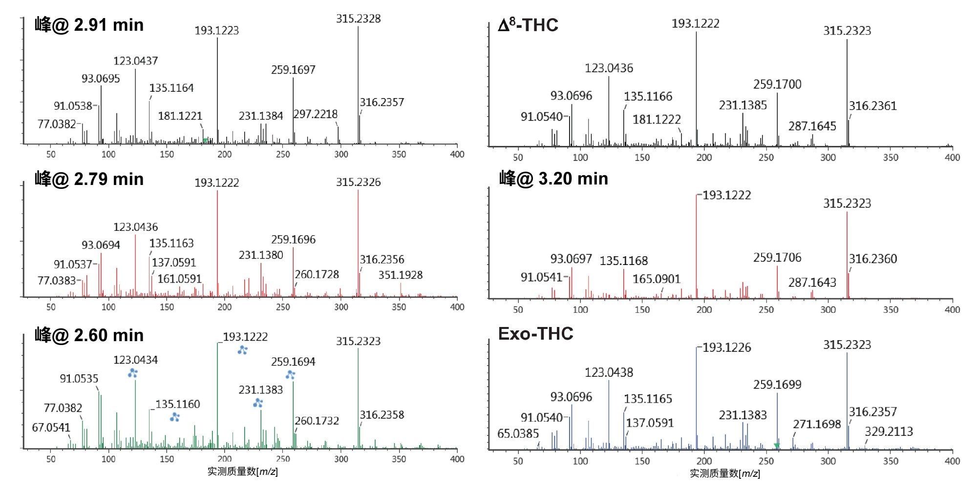  精确质量数为m/z 315.2318的高强度未知组分的高CE谱图