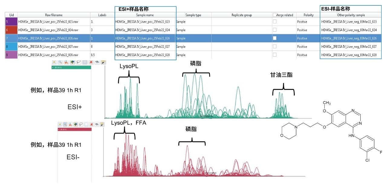 吉非替尼小鼠肝脏提取物的正离子模式和负离子模式分析数据可以导入到同一会话中