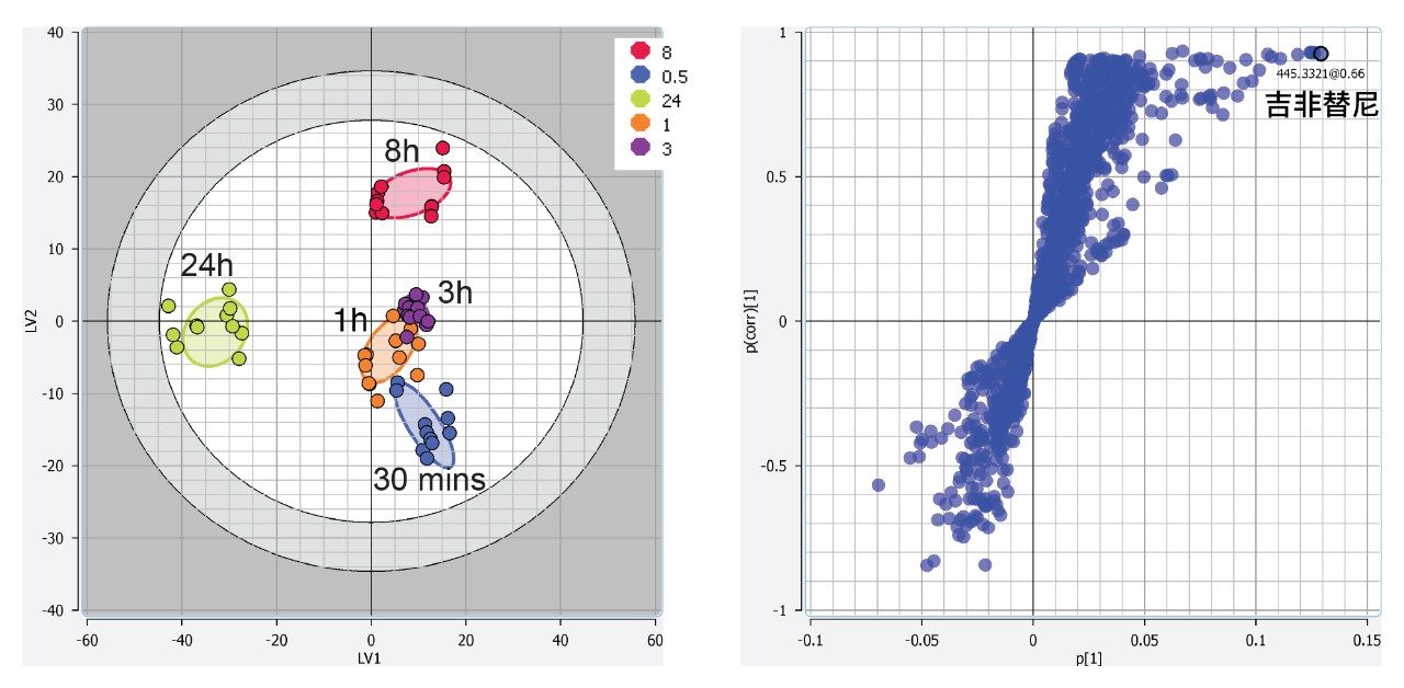 Lipostar中提供的统计工具示例。这张图显示了吉非替尼药物给药后不同时间点肝脏提取物样品的负离子模式PLS-DA LV1与LV2评分图（左）和S plot（右）