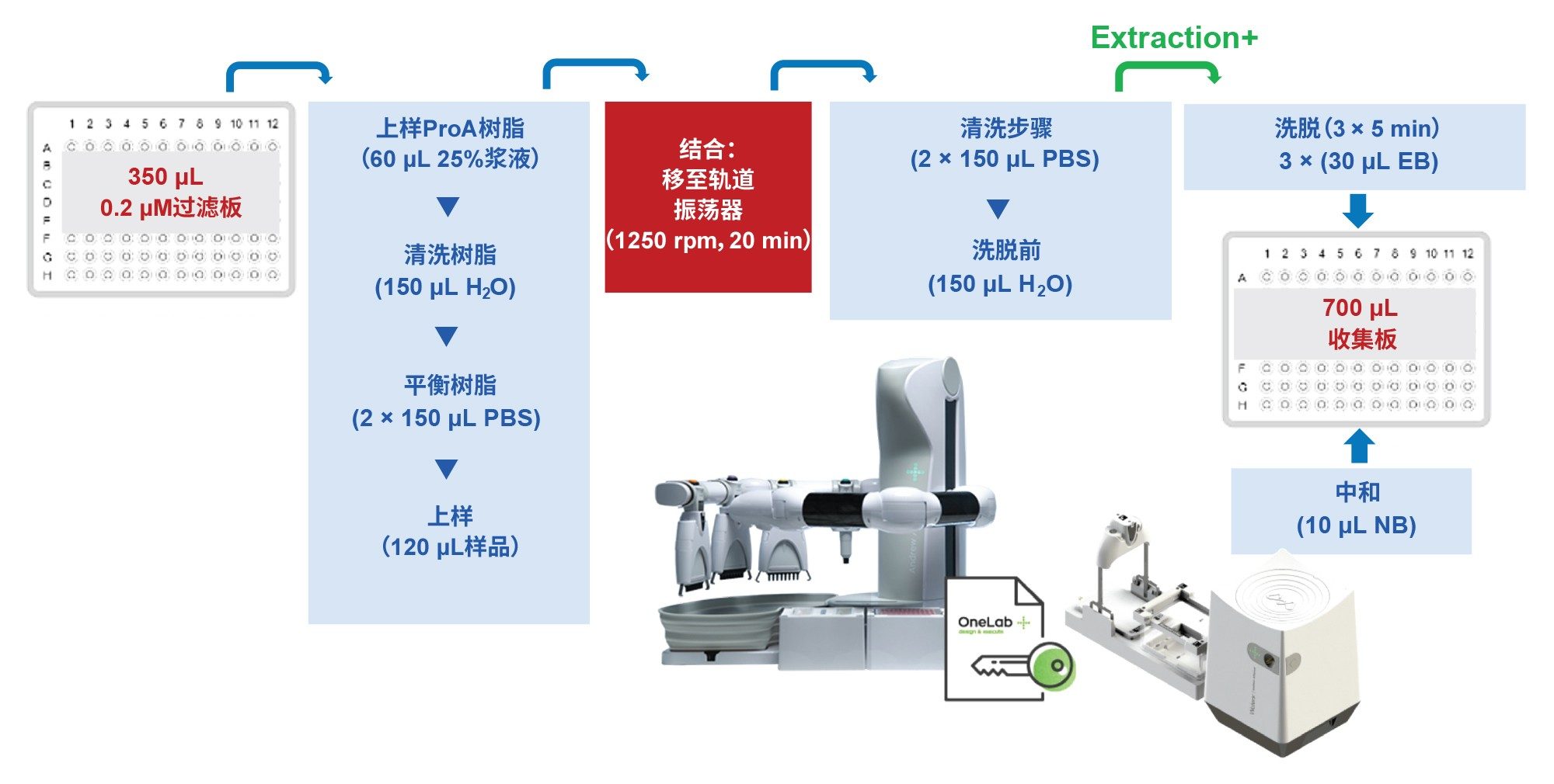 使用Andrew+机器人平台、Extraction+设备和OneLab可视化程序界面，从CHO细胞条件培养基完成单克隆抗体的自动化分析级蛋白A亲和纯化示意图。洗脱缓冲液(EB)和中和缓冲液(NB)的定义见实验部分