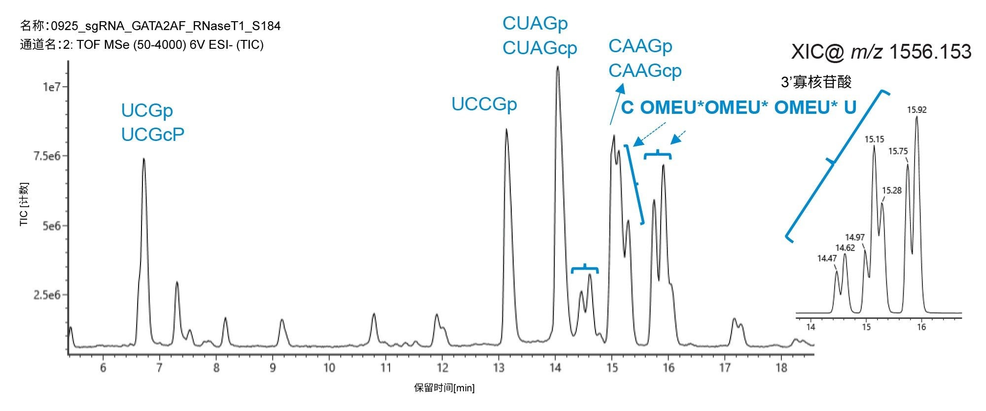 使用ACQUITY Premier BEH C18, 300 Å, 1.7 µm, 2.1 x 100 mm寡核苷酸分析专用柱结合UV和QTof HRMS检测对由核糖核酸酶T1酶解的sgRNA进行IP-RPLC-MS分析的寡核苷酸映射